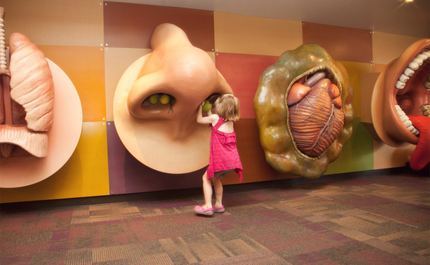 Children's Museum Oro Valley Activities